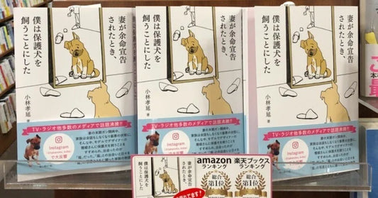 保護犬「福」は救世主人公～おかげで生きるということを考えられた～（塩出真央）